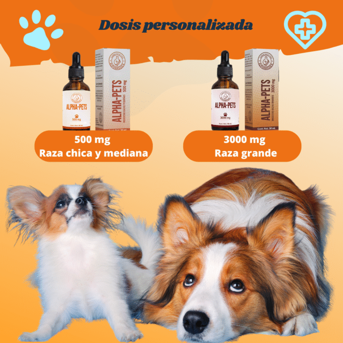 CBD para mascotas (3) AlphaPets Painless