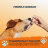 CBD para mascotas (2) AlphaPets Painless