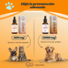 CBD para mascotas CBD para mascotas