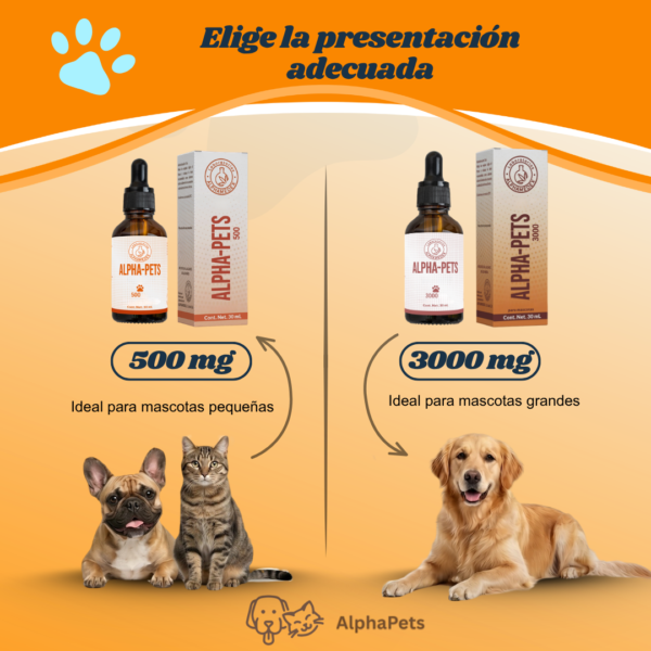 CBD para mascotas CBD para mascotas