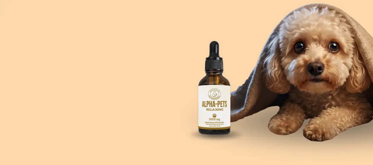 CBD para mascotas alphapets relaxing