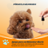 CBD para perros (2) Alphapets Painless