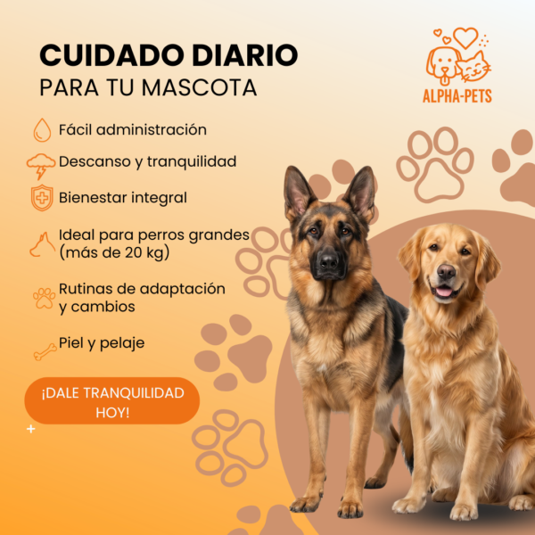 CBD para perros CBD para perros