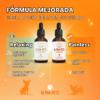 CBD para perros (8) Alphapets Relaxing