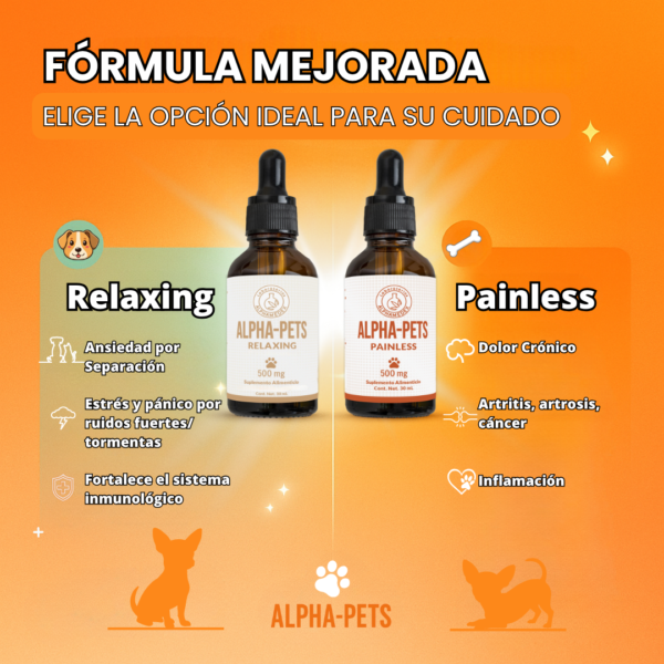 CBD para perros (8) Alphapets Relaxing